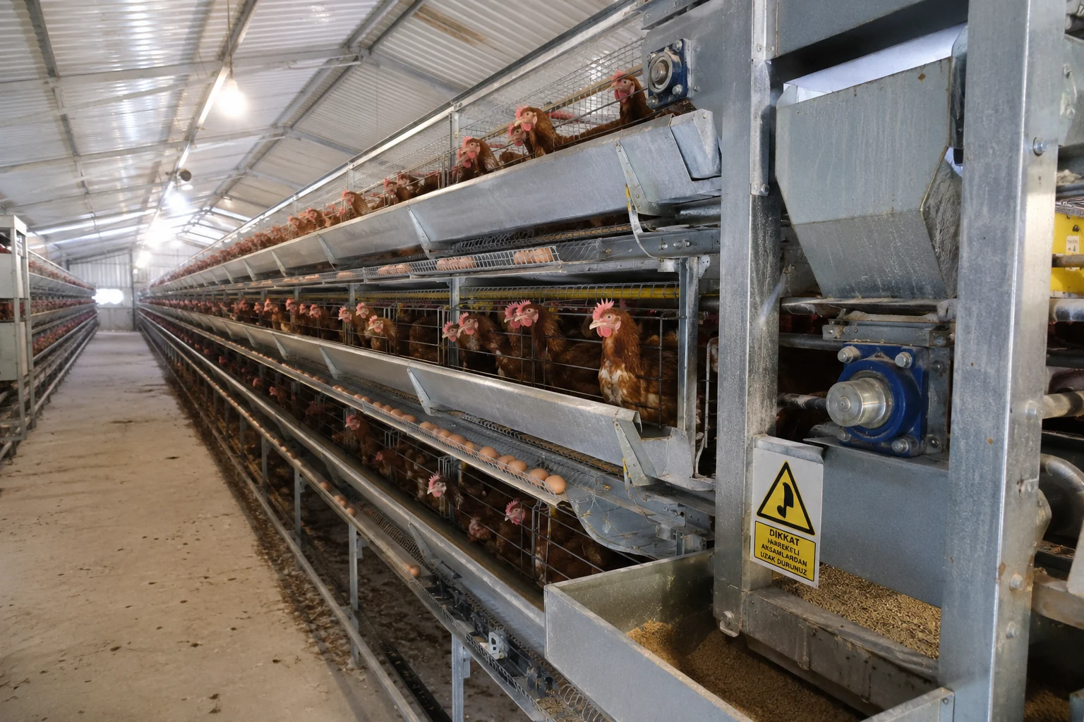 IXORTA Poultry