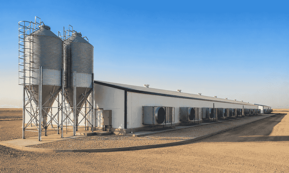 Climate-controlled layer production complex — representative project planning visual